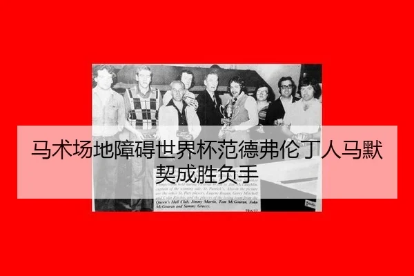 ma-shu-chang-di-zhang-ai-shi-jie-bei-fan-de-fu-lun-ding-ren-ma-mo-qi-cheng-sheng-fu-shou-3-204.jpg