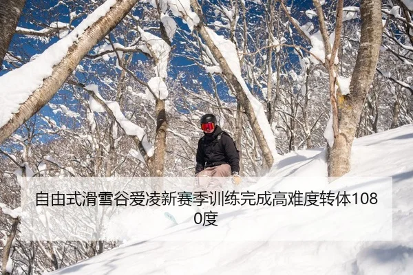 zi-you-shi-hua-xue-gu-ai-ling-xin-sai-ji-xun-lian-wan-cheng-gao-nan-du-zhuan-ti-du-3-223.jpg