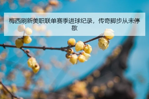mei-xi-shua-xin-mei-zhi-lian-dan-sai-ji-jin-qiu-ji-lu-chuan-qi-jiao-bu-cong-wei-ting-xie-2-210.jpg