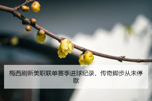 mei-xi-shua-xin-mei-zhi-lian-dan-sai-ji-jin-qiu-ji-lu-chuan-qi-jiao-bu-cong-wei-ting-xie-3-436.jpg