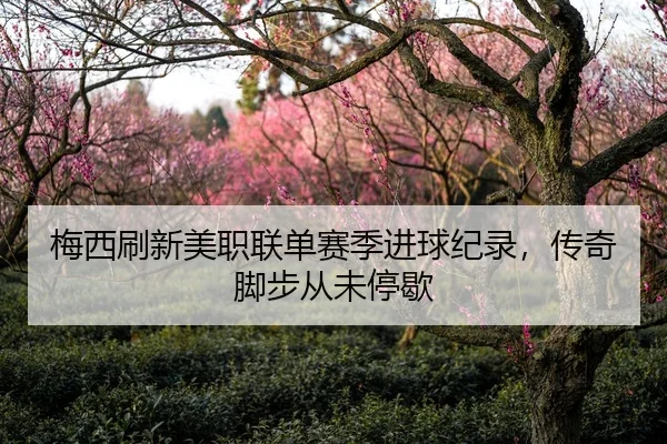 梅西刷新美职联单赛季进球纪录，传奇脚步从未停歇