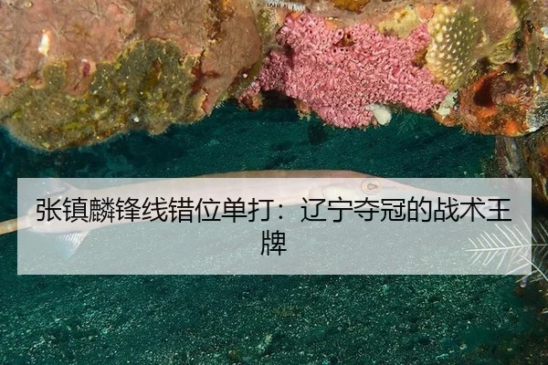 zhang-zhen-lin-feng-xian-cuo-wei-dan-da-liao-ning-duo-guan-de-zhan-shu-wang-pai-2-165.jpg
