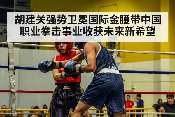 胡建关强势卫冕国际金腰带中国职业拳击事业收获未来新希望